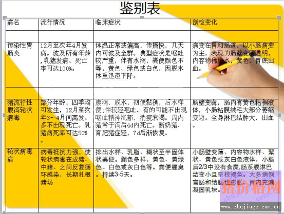 冬季猪腹泻的诊断要点、误诊分析与讨论