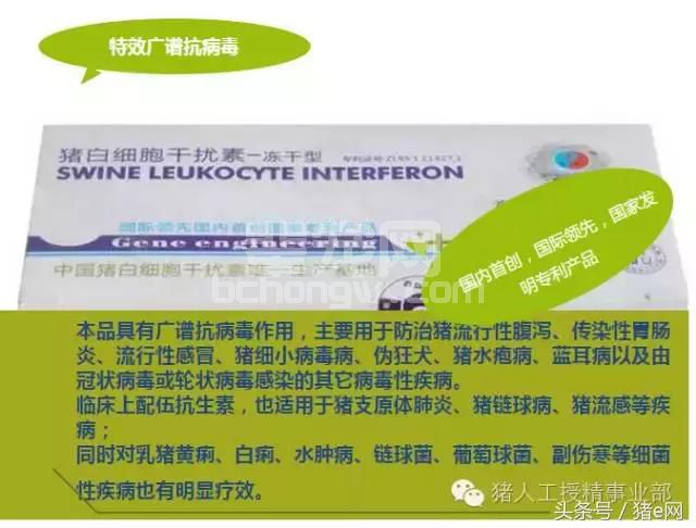 仔猪腹泻怎么办？原来解决只需这五步！