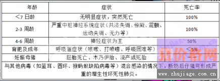 猪伪狂犬净化，他们是怎么做到的？