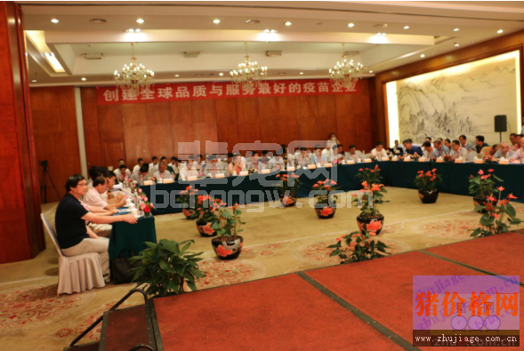 近百名专家教授研讨仔猪腹泻！你不看一下么？