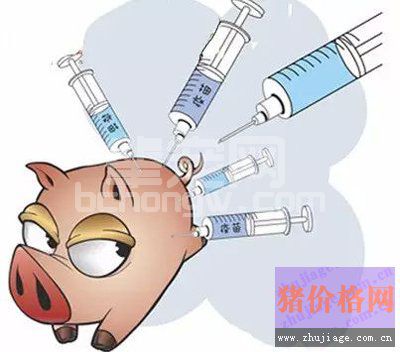 水灾过后动物防疫十思疏