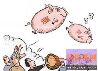 猪周期呈现新特点