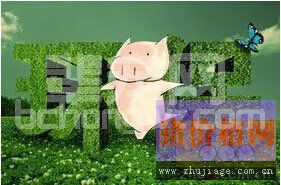 福建上杭持续发力生猪养殖污染防治