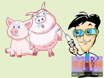 教你如何做好猪病的科学诊断!