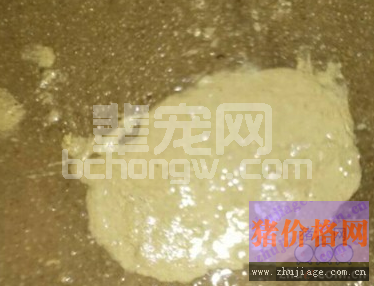 断奶小保育猪腹泻加呕吐 养户反映该症状发病频繁