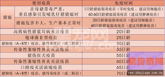 “猪高热病”的流行特点及防制策略