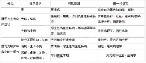 中大猪临床血样腹泻、黑粪症状的疾病防治措施