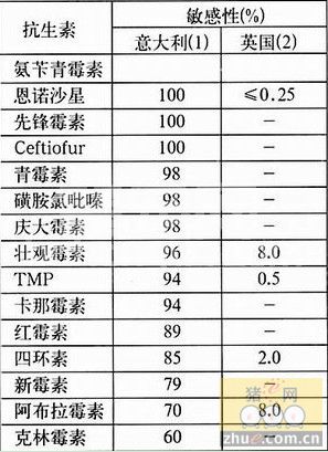 副猪嗜血杆菌病的发生及控制措施