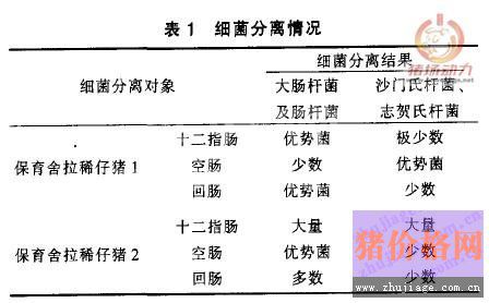 保育猪顽固性腹泻的诊治技术