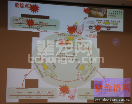 酸化剂、益生菌才是导致细菌耐药性的罪魁祸首？
