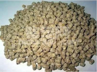 猪服药后十大忌口饲料，切记切记！