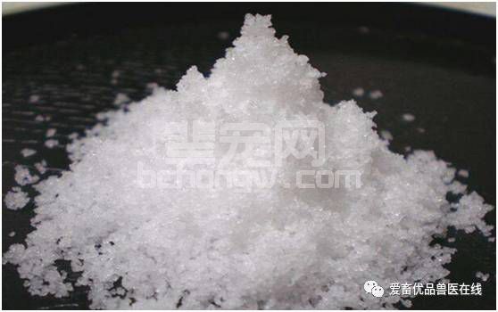 治疗仔猪黄白痢的土方子，养殖户们有福了！