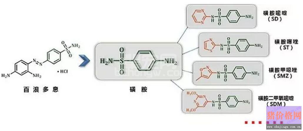 发病原因不明，病原不能断定，用啥药呢？磺胺类药物正确的使用方法