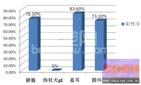 用治嗽静(泰万菌素)稳定蓝耳病效果好