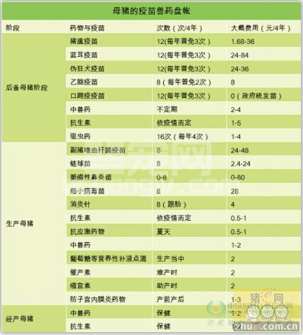 母猪养殖：一生用药及免疫成本分析