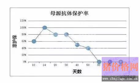 养猪场用苗后口蹄疫没防住的原因分析！