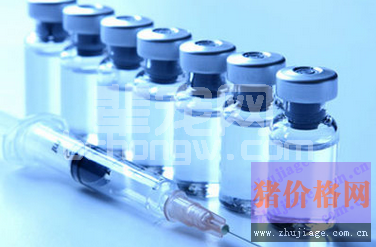 不同的猪病疫苗各有哪些特点