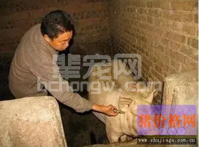 真正意义上的防疫，是要能行之有效的解决猪场问题