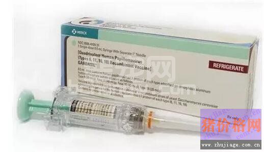 多种疫苗及疫苗与化学药物的同时使用问题