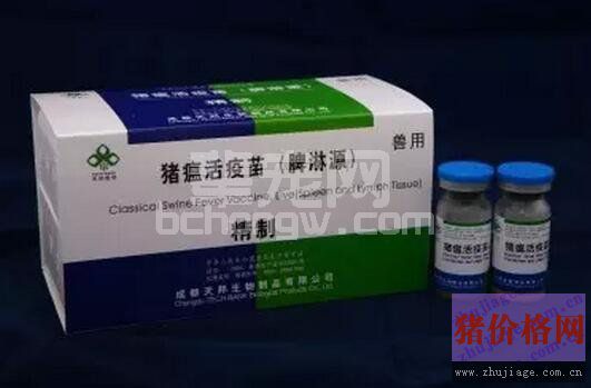 熊孩子误食了猪瘟疫苗（或疫苗打在身上）怎么办？