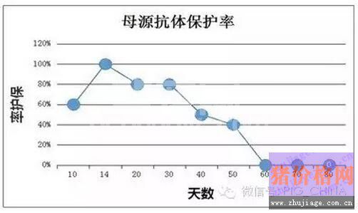预防口蹄疫，别老拿疫苗无效来说事