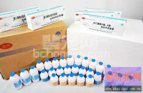 口蹄疫疫苗的7大厂家与毒株种类