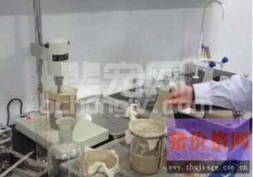 千万不要迷恋＂自家苗＂ 用得好那是运气