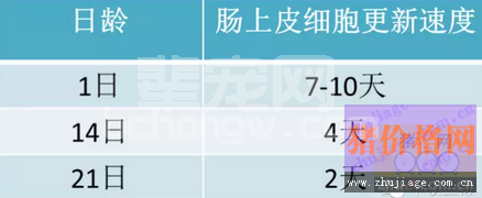 控制猪流行性腹泻，必须口服免疫？