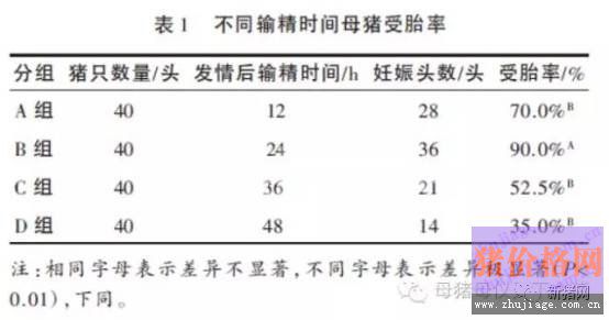 母猪年生产力受哪些因素影响？试验结果告诉你答案