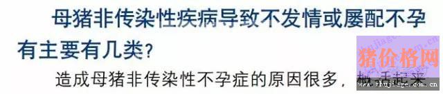断奶后母猪不发情或不孕的原因分析及预防方案