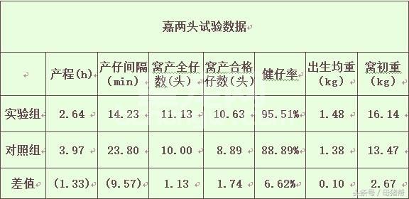 史上最科学的助产技巧 看完你还会为母猪难产发愁吗?