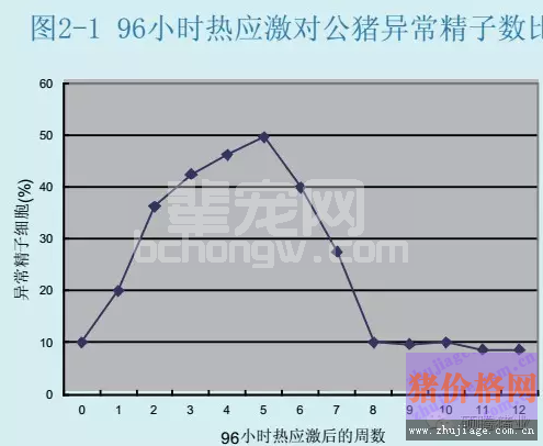 高温对公母猪繁殖性能危害如此巨大！如何避免？
