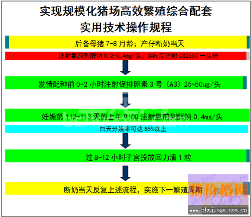 母猪繁殖障碍的发生原因及处理措施