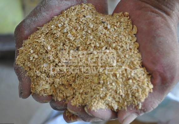 巧用杂粕代替豆粕降低饲喂成本