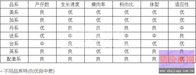 育肥猪喘气发烧，猪群泪斑，母猪咬仔，不重视就会出大问题！