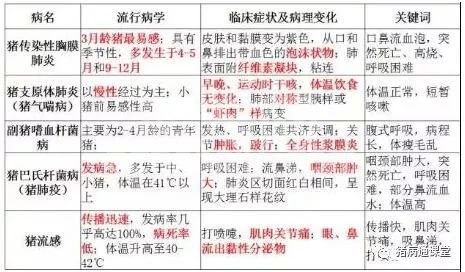 春季咳喘反复难缠！根治只需做好这四点老兽医指点迷津