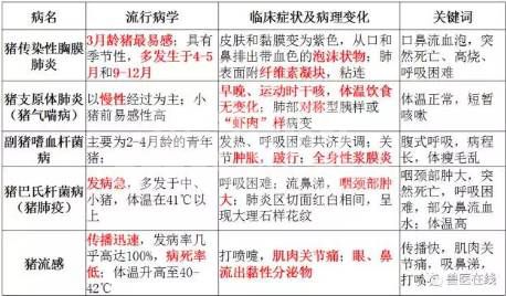 目前猪呼吸道问题，为啥反复难治？