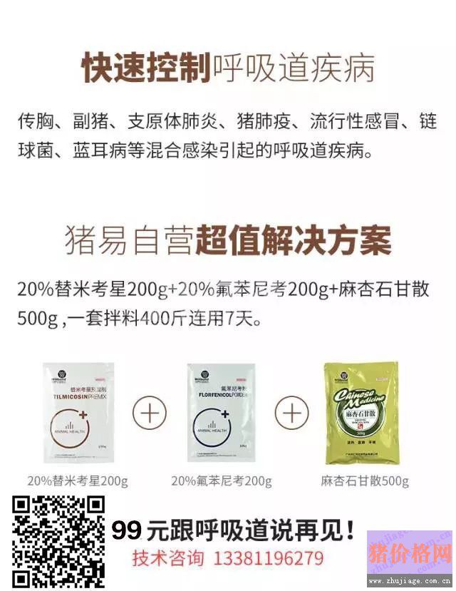 五大原因直接导致养猪场呼吸道疾病高发