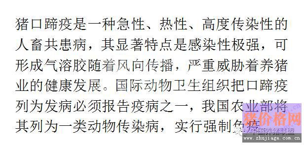 口蹄疫免疫失败只怪疫苗行不行？这几个方面问题找了吗？