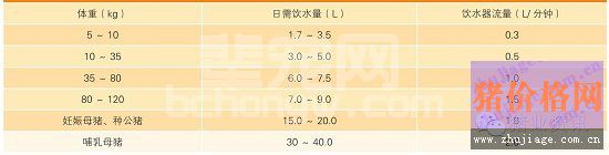 猪呼吸道疾病发生的原因分析及防控措施