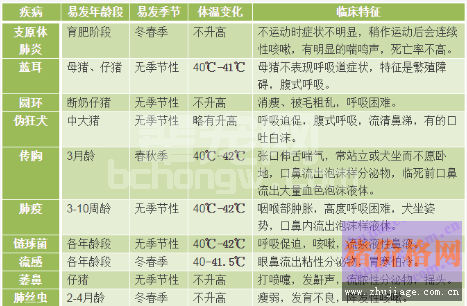 从临床症状如何区分猪的呼吸道疾病