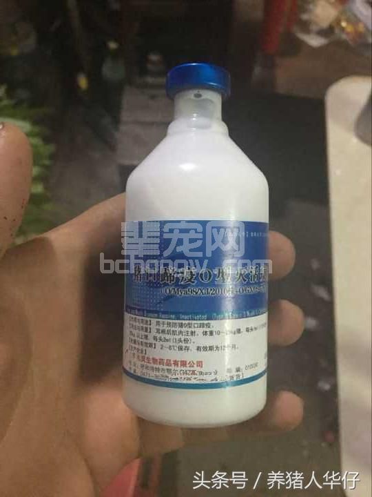 精确预防猪口蹄疫跟5哥说拜拜