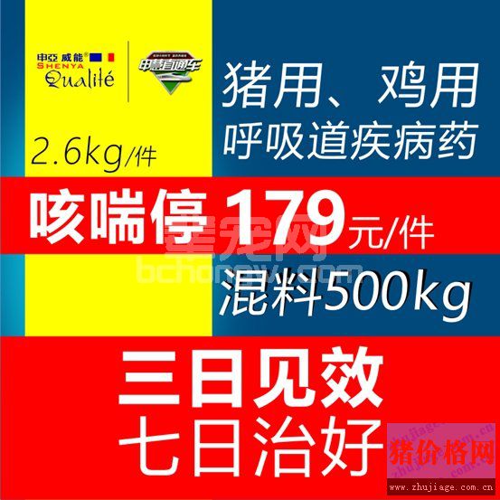 秋冬季节猪场，如何应对猪咳嗽问题？