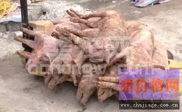 生猪腹泻继发链球菌案例的诊治方法