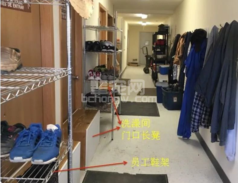 非洲猪瘟防控中的生物安全关键措施！
