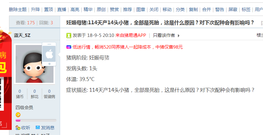造成母猪产死胎的7个原因，你都知道吗？