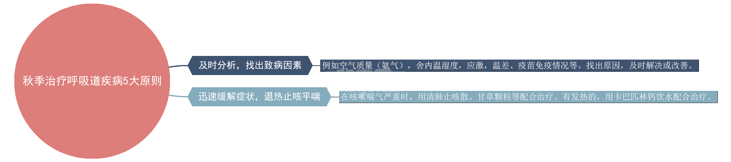 治疗秋季猪呼吸道疾病，遵循5项原则，可减少很大损失