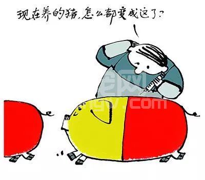 【保健】抗生素保健效果不好，未来猪场保健趋势在哪里？