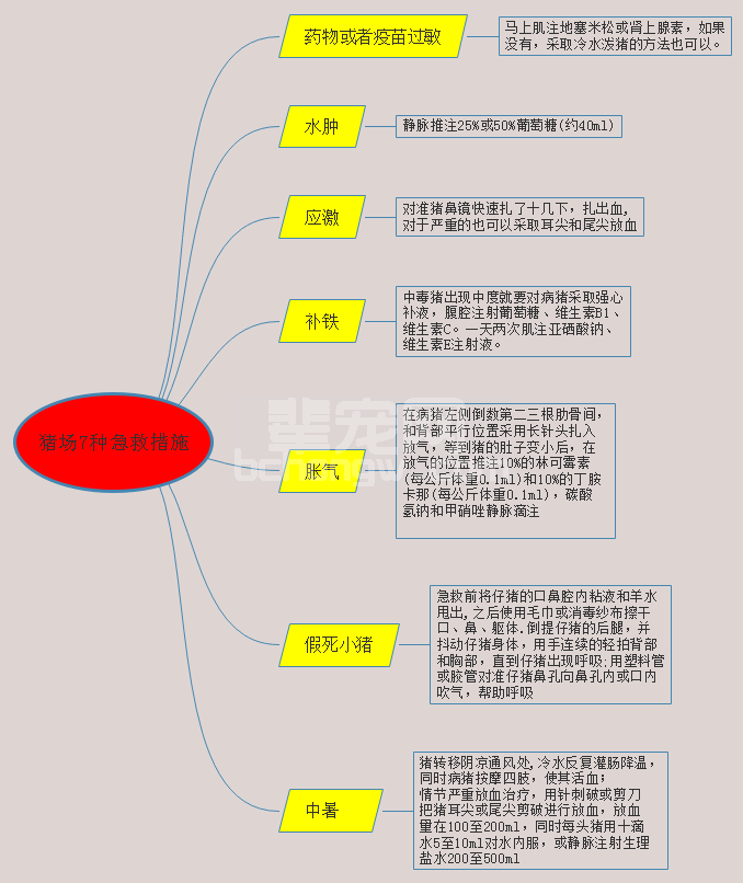 【急救】猪场7种急救措施，条条都救命！