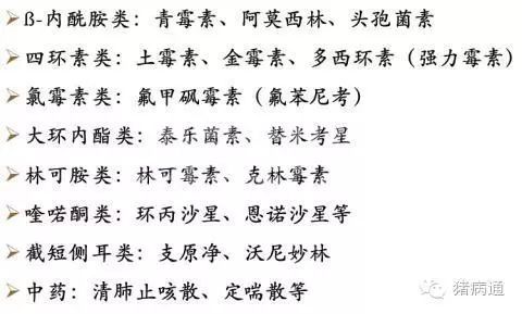 治疗猪呼吸道病用药技巧！